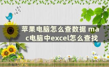 苹果电脑怎么查数据 mac电脑中excel怎么查找